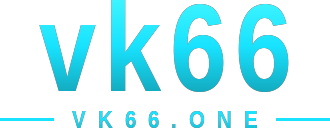 vk66 logo
